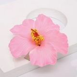 Phụ Kiện Tóc Her World Mẫu HERW124