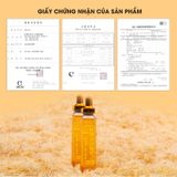 (HSD: 3/2027) Tinh Chất Nước Hồng Sâm Núi Manyoung Hộp 30 Ống x 20ml