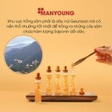 (HSD: 3/2027) Tinh Chất Nước Hồng Sâm Núi Manyoung Hộp 30 Ống x 20ml