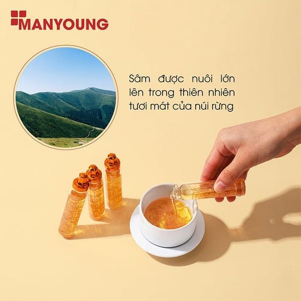 (HSD: 3/2027) Tinh Chất Nước Hồng Sâm Núi Manyoung Hộp 30 Ống x 20ml