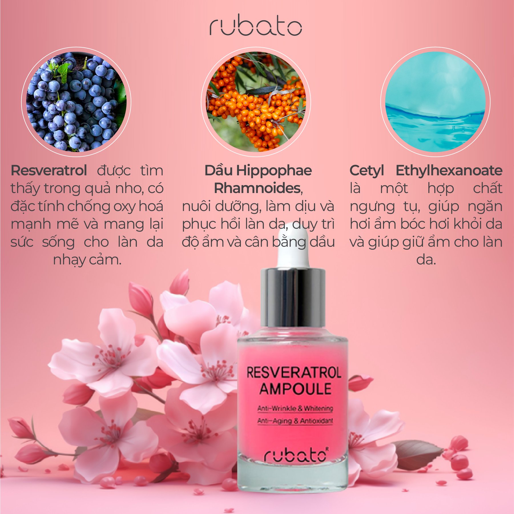 Tính Chất Chống Lão Hoá Rubato Resveratrol Ampoule 30ml Vstyle.vn