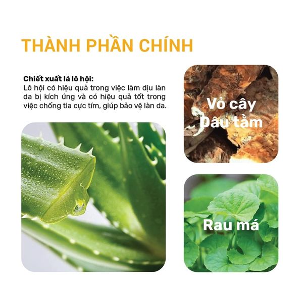 (HSD: 2/2027) Combo 2 Kem Chống Nắng Chống Thấm Nước Lebelage SPF50+ Pa+++ High Protection Long Lasting Sun Cream Chiết Xuất Lá Lô Hội 30ml (màu vàng)