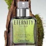 f1689 Calvin Klein Eternity For Men EDT 100ml