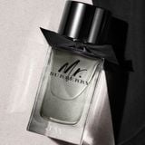 Nước Hoa Burberry Mr Burberry EDT 100ml