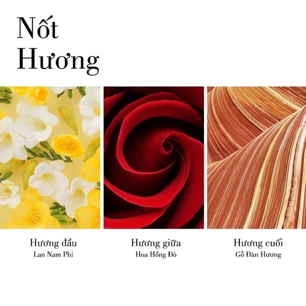 Nước Hoa Nữ Elizabeth Arden Red Door EDT 30ml