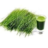 Bột Lá Đại Mạch Non Nguyên Chất Đã Qua Chế Biến S Select (Hộp 44 GÓI)