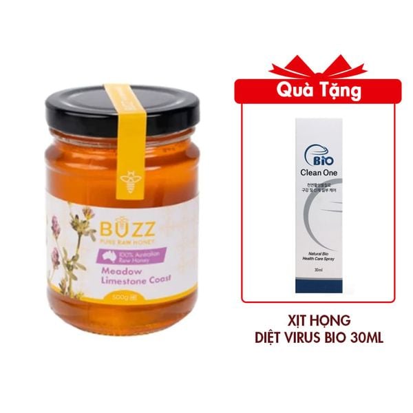 (HSD: 6/2025) Mật Ong Buzz Honey Hoa Meadow Limestone Hũ 500g Vị Ngọt Nhẹ