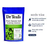 (HSD: 4/2025) Muối Tắm Dr Teal's Giúp Phục Hồi Cơ Thể, Thư Giãn Và Giúp Da Mịn Màng, Láng Mịn Tinh Dầu Bạch Đàn và Bạc Hà Gói 450g