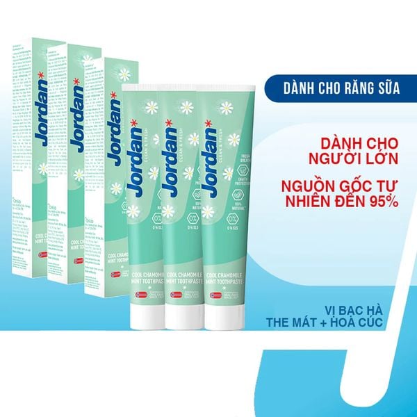 (HSD: 10/2026) Combo 3 Kem Đánh Răng Cho Người Lớn Vị Bạc Hà Hoa Cúc Mát Lạnh Jordan Clean & Fresh Cool 75Gx3