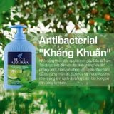 (HSD: 1/2026) Sữa Rửa Tay Felce Azzurra Hương Nước Hoa Hổ Phách & Dầu Argan 300ml