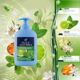 (HSD: 1/2026) Sữa Rửa Tay Felce Azzurra Hương Nước Hoa Hổ Phách & Dầu Argan 300ml