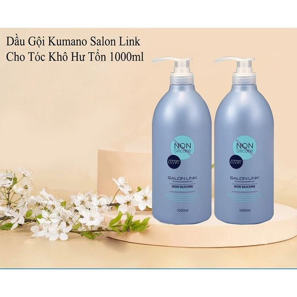 Dầu Gội Siêu Dưỡng, Phục Hồi, Không Chứa Silicone Salon Link 1000ml