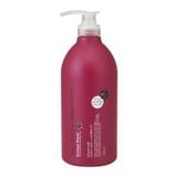 Dầu Gội Hoa Trà Phục Hồi Tóc Hư Tổn Salon Link 1000ml