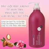 Dầu Gội Hoa Trà Phục Hồi Tóc Hư Tổn Salon Link 1000ml