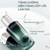 Full Size Tinh Chất Chống Lão Hóa Sớm Đa Tầng Ohui Prime Advancer De-Aging Ampoule Serum 50ml (Hàng tách set)