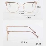 Kính Mắt Nữ New Eyes Mẫu NEWK213