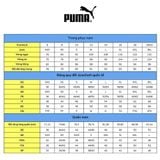 Áo Thun Thời Trang Nam Puma Day in Motion Tee 67110001