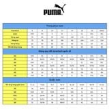 Áo Thun Thời Trang Nam Puma Day in Motion Tee 67110089