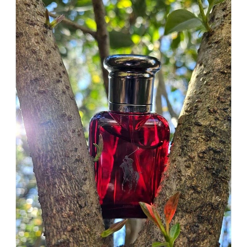 Nước Hoa Nam Ralph Lauren Polo Red Parfum 75ml
