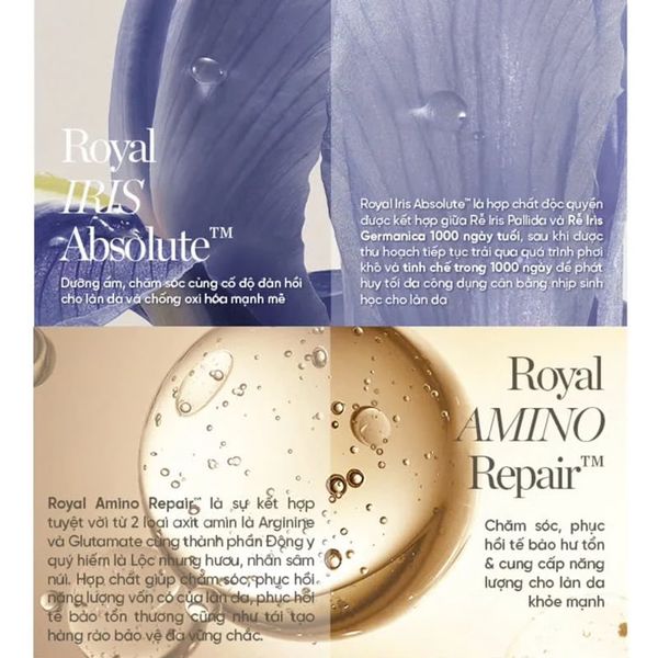 Nước Thần Phục Hồi Năng Lượng Làn Da, Làm Trắng Da Whoo Royal Regina Energy Drop Treatment 20Ml