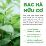 Lotion Dành Cho Da Dầu Và Mụn Yves Rocher Pure Menthe The Mattifying Powder Lotion 150ml