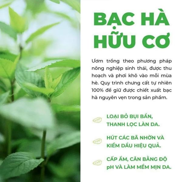 Lotion Dành Cho Da Dầu Và Mụn Yves Rocher Pure Menthe The Mattifying Powder Lotion 150ml