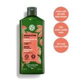 Dầu Gội Phục Hồi Tóc Hư Tổn Yves Rocher Repair Hair Care Restoring Shampoo Sulfate Free 300ml