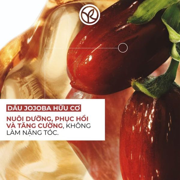 Dầu Gội Phục Hồi Tóc Hư Tổn Yves Rocher Repair Hair Care Restoring Shampoo Sulfate Free 300ml