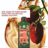 Dầu Gội Phục Hồi Tóc Hư Tổn Yves Rocher Repair Hair Care Restoring Shampoo Sulfate Free 300ml