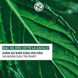 Dầu Gội Trị Gàu Yves Rocher Anti Dandruff Treatment Shampoo Sulfate Free 300ml