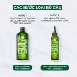 Dầu Gội Trị Gàu Yves Rocher Anti Dandruff Treatment Shampoo Sulfate Free 300ml