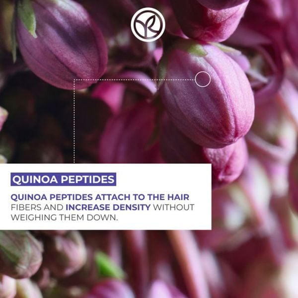 (HSD: 2/2027) Dầu Xả Làm Phồng Tóc Yves Rocher Volume Plumping Shampoo Sulfate Free 300ml