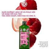 Dầu Gội Giữ Màu Tóc Nhuộm Và Giúp Tóc Bóng Mượt Yves Rocher Shine Protective Shampoo Sulfate Free 300ml
