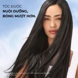 Dầu Gội Giữ Màu Tóc Nhuộm Và Giúp Tóc Bóng Mượt Yves Rocher Shine Protective Shampoo Sulfate Free 300ml