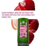 Dầu Xả Giữ Màu Cho Tóc Nhuộm Và Giúp Tóc Bóng Mượt Yves Rocher Shine Protective Conditioner 200ml