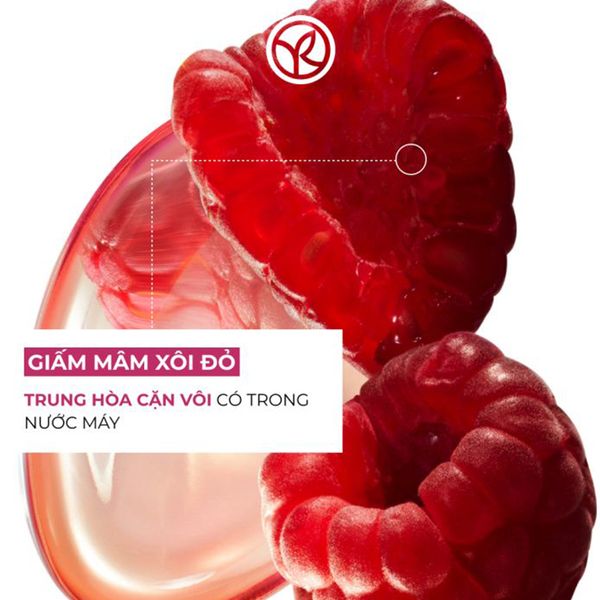 (HSD: 3/2027) Dầu Xả Giữ Màu Cho Tóc Nhuộm Và Giúp Tóc Bóng Mượt Yves Rocher Shine Protective Conditioner 200ml