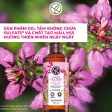 Sữa Tắm Dạng Gel Yves Rocher Hương Hoa Cỏ Bath & Shower Gel Meadow Flower & Heather 400ml