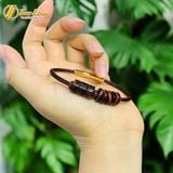  Vòng tay lu thống chạm mix ngũ điếu đá mắt hổ nâu đỏ hợp mệnh hỏa và mệnh thổ tài lộc may mắn 