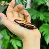  Vòng tay lu thống chạm mix ngũ điếu đá mắt hổ nâu đỏ hợp mệnh hỏa và mệnh thổ tài lộc may mắn 