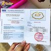  Bộ trang sức amber cho bé vòng hổ phách nhiều màu mix tiểu phật lam ngọc bình an may mắn 