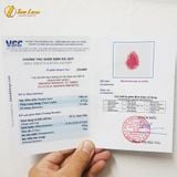  Dây chuyền mặt hồ ly chúa 9 đuôi dáng thủng đá đào hoa hợp mệnh trợ duyên may mắn 