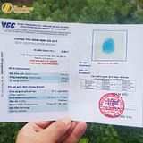  Dây chuyền mặt hồ ly chúa chín đuôi thủng đá aquamarine bọc bạc hợp mệnh thủy mộc trợ duyên may mắn 