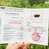  Vòng tay may mắn dây chỉ bện ve sầu đá mắt hổ nâu vàng may mắn bình an 