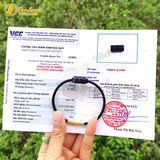  Vòng tay lu thống đá sodalite chạm họa tiết kim tiền tài lộc, hợp mệnh thủy mộc 