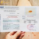  Vòng Tay Lu Thống Dáng Bầu Dục Đá Thạch Anh Tóc Vàng Chạm Kim Tiền - Tuệ Lâm 