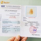  Dây Chuyền Mặt Hồ Ly Chúa 9 đuôi thủng Đá Mã Não Liên Hoa Hỗ Trợ Tình Duyên hợp mệnh 