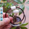 Vòng tay lu thống bạch ngọc trơn hợp mệnh may mắn chiêu tài hút lộc hanh thông