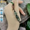 Vòng tay lu thống chạm họa tiết tài lộc mix hồ ly chúa thạch anh tóc xanh hợp mệnh mộc hỏa