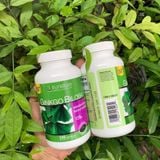  VIÊN UỐNG BỔ NÃO MỸ _ GINKGO BILOBA 