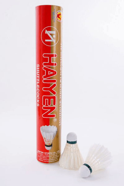 ddo-cau-long-hai-yen-do-dong